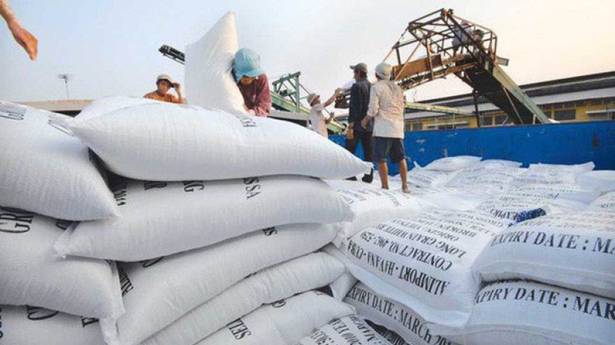Philippines becomes largest export market for Vietnamese rice 