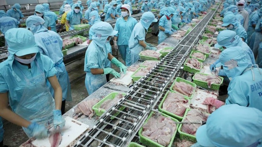 Tuna exports surge 15% over four months