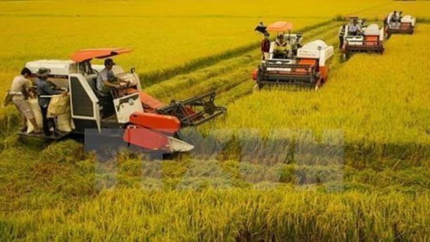 63.4% of Vietnamese communes meet new-style rural criteria