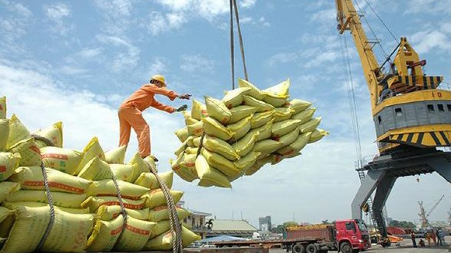 Rice exports set to see bright prospects in coming months 