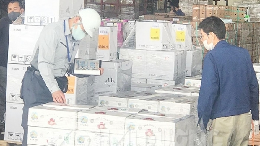 First shipment of Vietnamese fresh lychees arrives in Japan