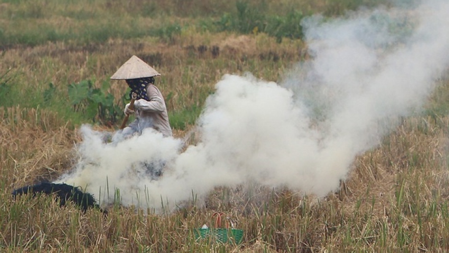 Hanoi capital sees air pollution worsen as residents burn straw