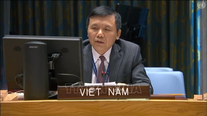 Vietnam calls for stability in Mali toward 2022 elections