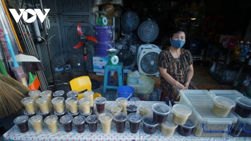 Hanoi market enjoys brisk trade for Doan Ngo festival