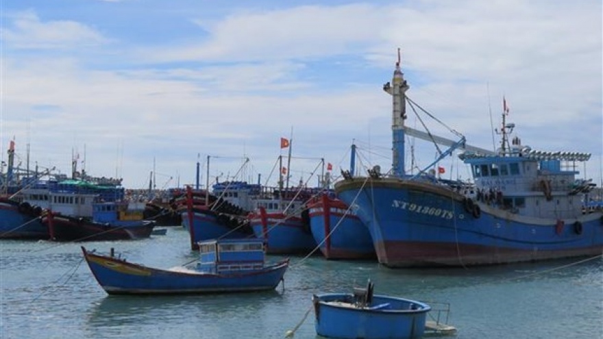 Organisations, individuals involved in IUU fishing to be punished strictly