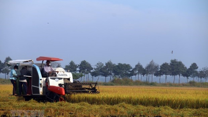 Vietnam holds first national dialogue on food systems