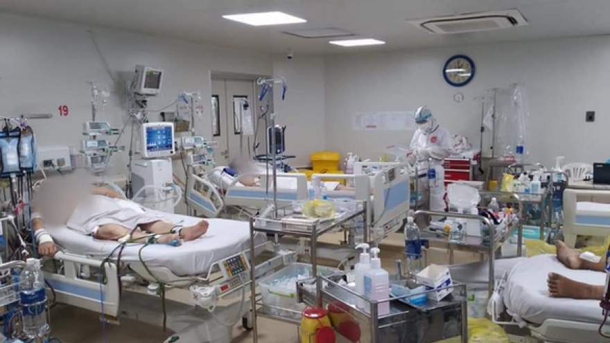 173 COVID-19 patients in critical condition, 13 rely on ECMO