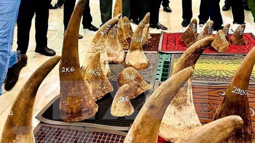 Vietnam hands over rhino horn DNA samples to South Africa
