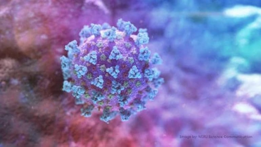 Health Ministry refutes rumours of new mutated strain of coronavirus 