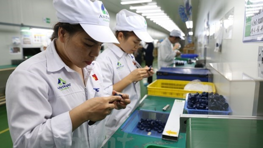 Vietnamese firms’ overseas investment rises nearly 2.5-fold in H1