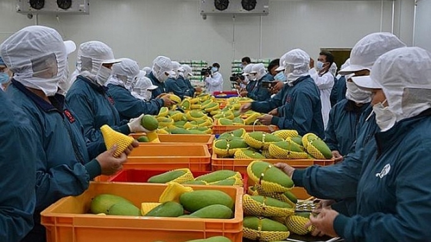 Local fruit and vegetable sector sets export target of US$3.6 billion