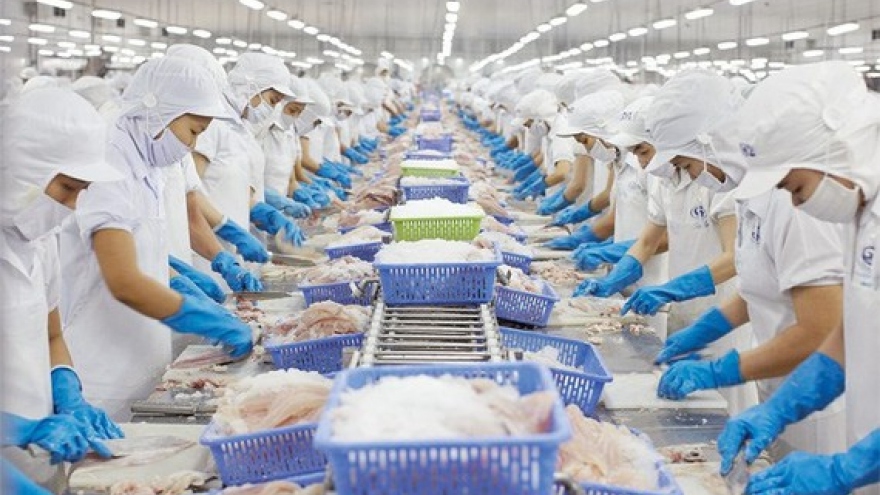 HCM City takes lead for seafood exports over five months  
