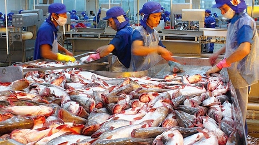 Pangasius exports surge in first half despite COVID-19 challenges