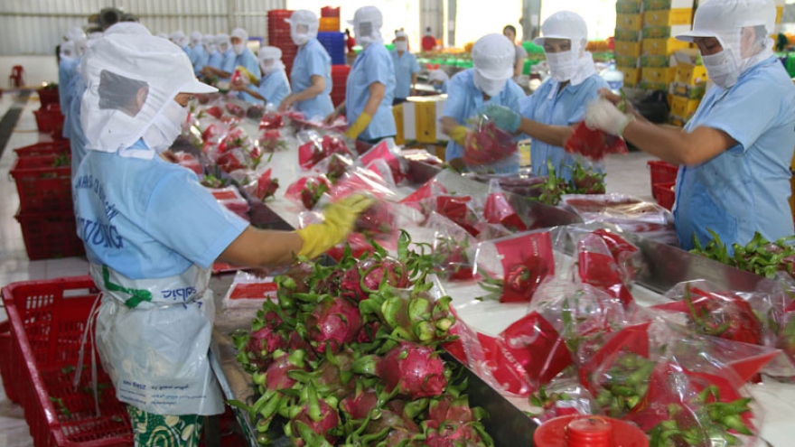 US remains potential consumer of Vietnamese fruit