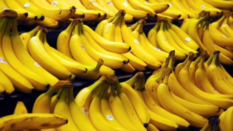 RoK increases banana imports from Vietnamese market