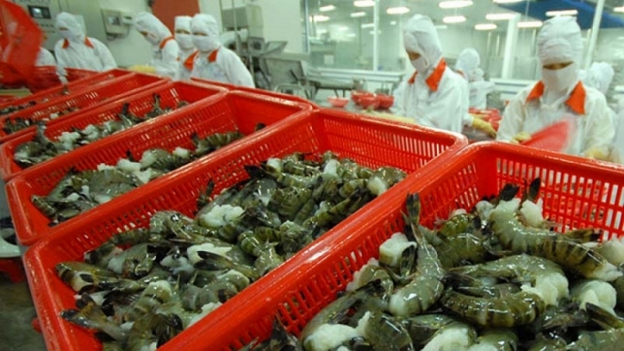 Shrimp exports witness robust growth in FTA markets