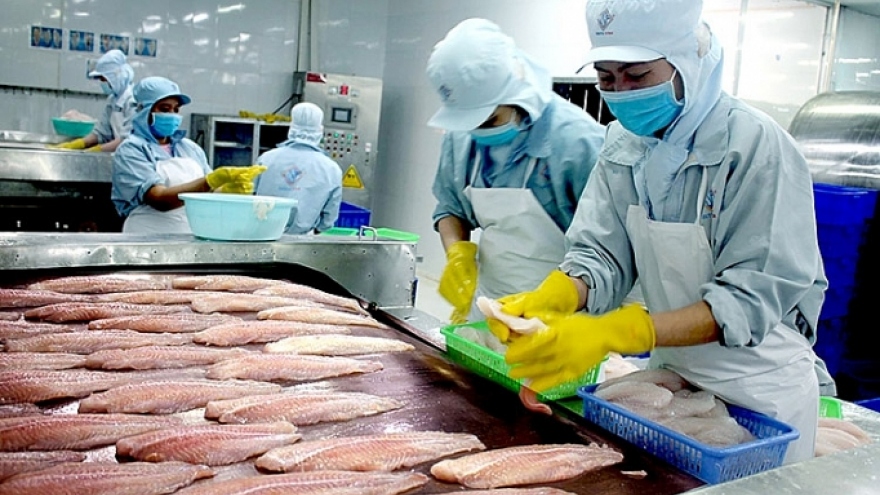 Positive outlook for pangasius exports to Brazilian market