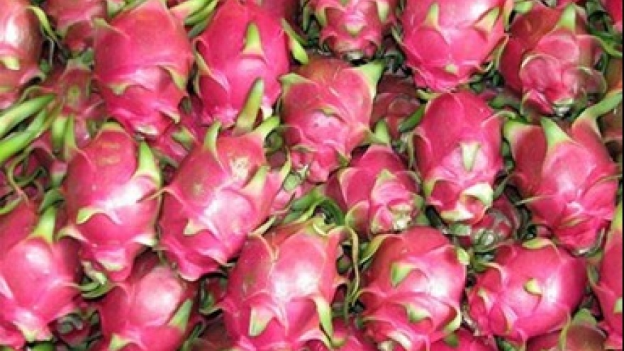 Teleconference seeks to boost dragon fruit consumption in India, Pakistan