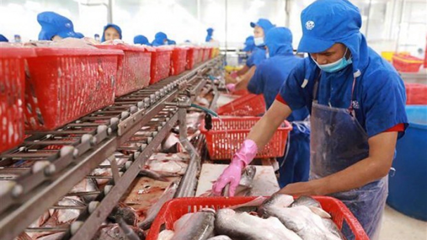 Aquatic product exports plunge during social distancing