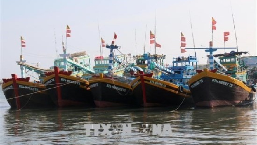 Binh Thuan province makes progress in fighting IUU fishing