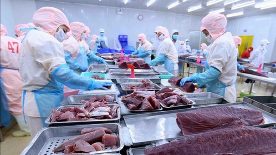 Vietnam becomes largest tuna supplier to Israel