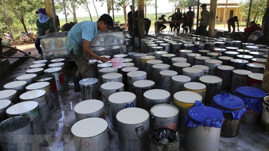 Vietnam’s rubber export to US sees sharp surge
