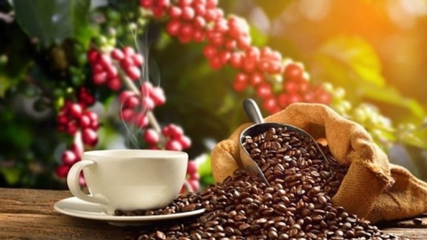 Coffee tourism offers chance for Vietnam’s agro-tourism: webinar