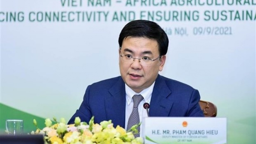 Vietnam aspires to boost cooperation with African nations