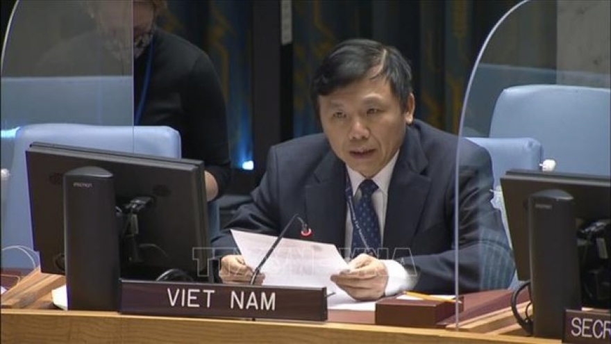 Vietnam calls for peaceful settlement of international disputes