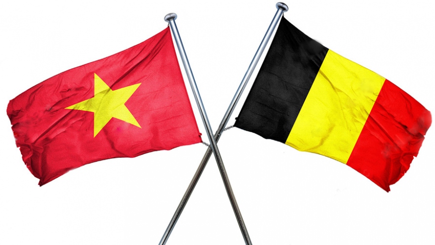 Belgium shares development experience with Vietnam