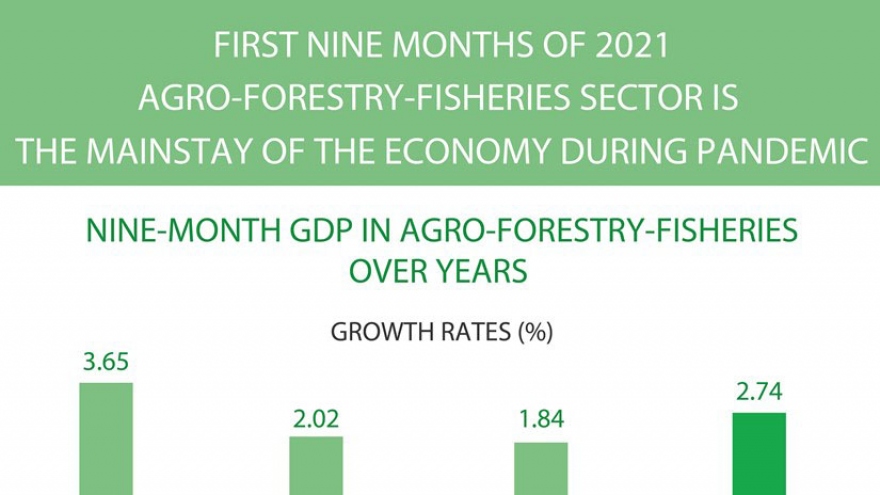 Agro-forestry-fisheries - the mainstay of the economy