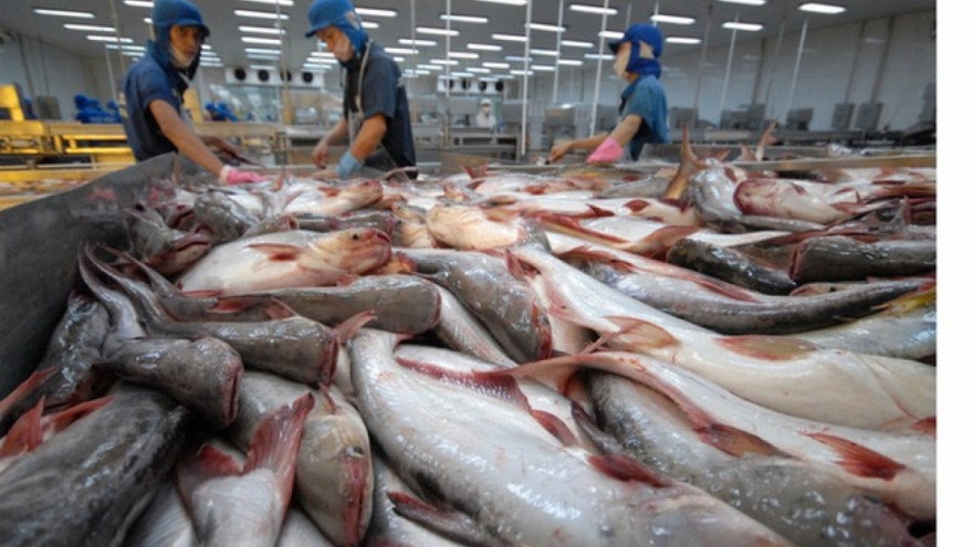 Pangasius exports fetch over US$1 billion during nine-month period