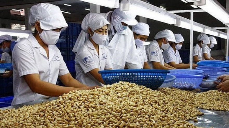 Vietnamese cashew nuts increase market share in US 