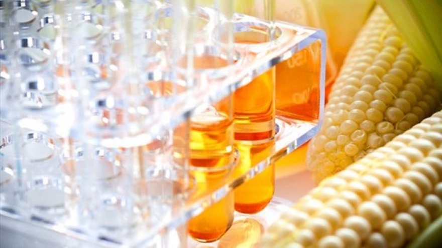 Vietnam completes anti-dumping probe into corn syrup from China, RoK