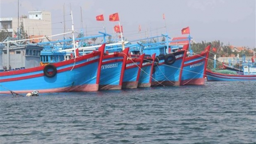 Vietnam works towards responsible, sustainable fishery sector