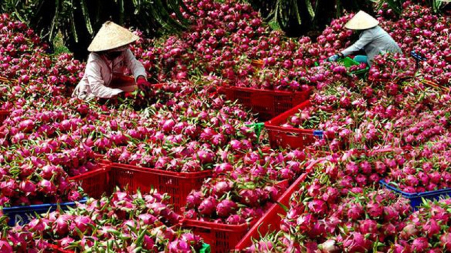 Agricultural products face challenges when entering Chinese market