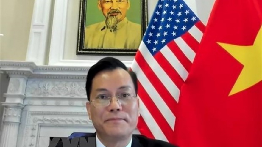 Vietnam welcomes US’s practical assistance for Mekong nations: ambassador