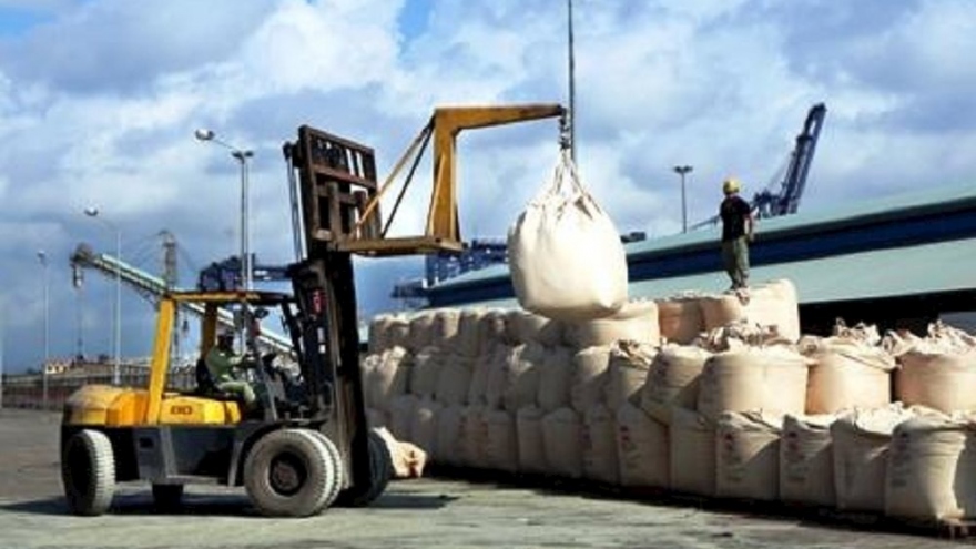 Cement exports record surge amid decline in domestic consumption