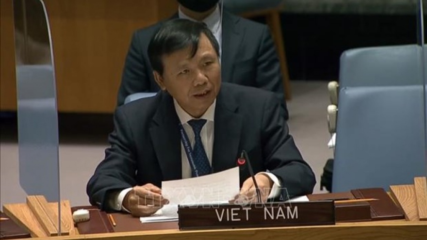 Vietnam supports reform of UN Security Council
