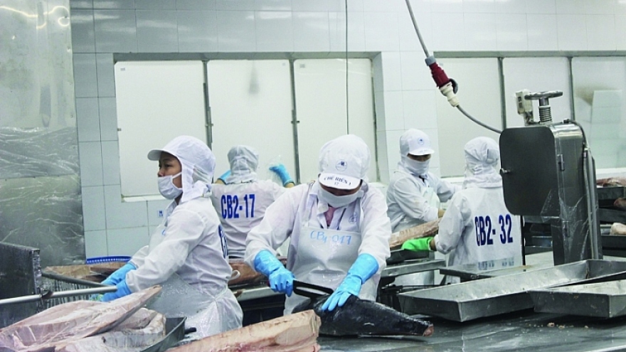 Multi-million-dollar tuna auctions to debut in Vietnam 