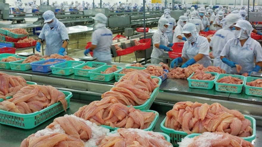 Pangasius exports face hurdles due to COVID-19 challenges