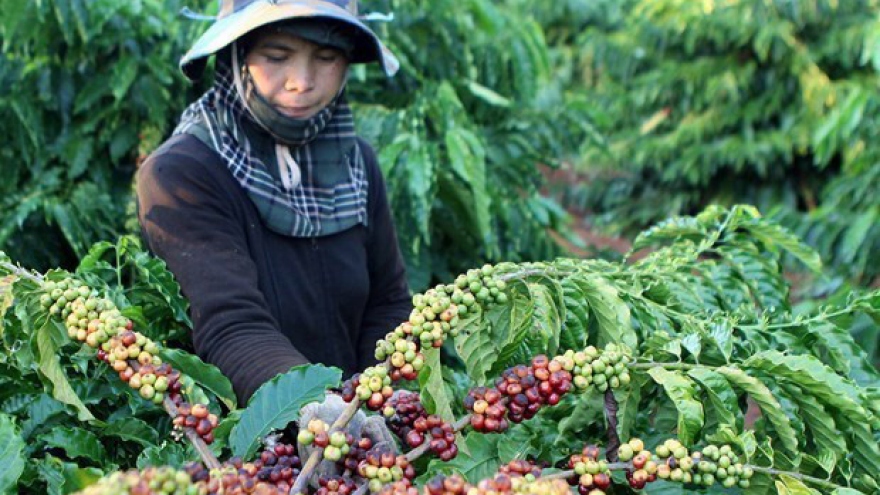 RoK, Japan look to boost agricultural exports to Vietnam