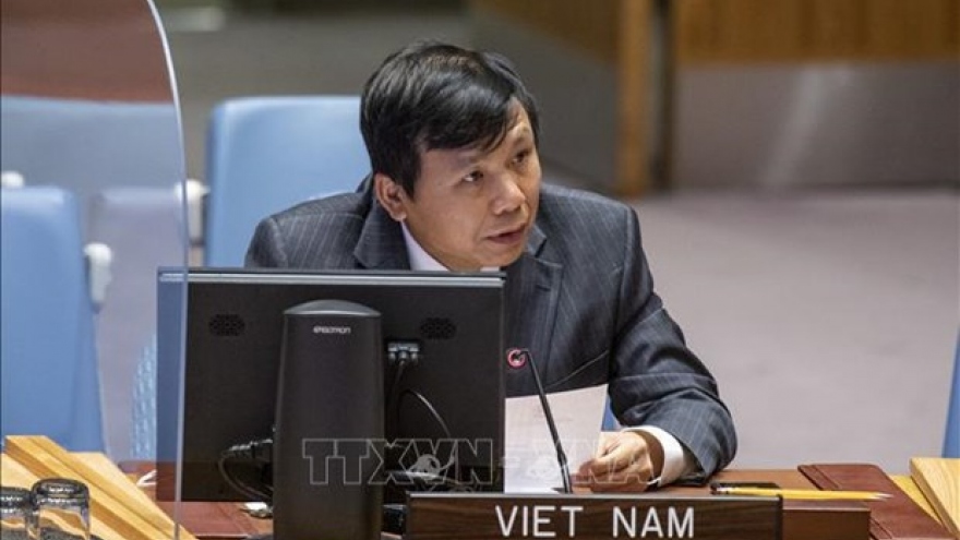 Vietnam urges promoting Middle East peace process