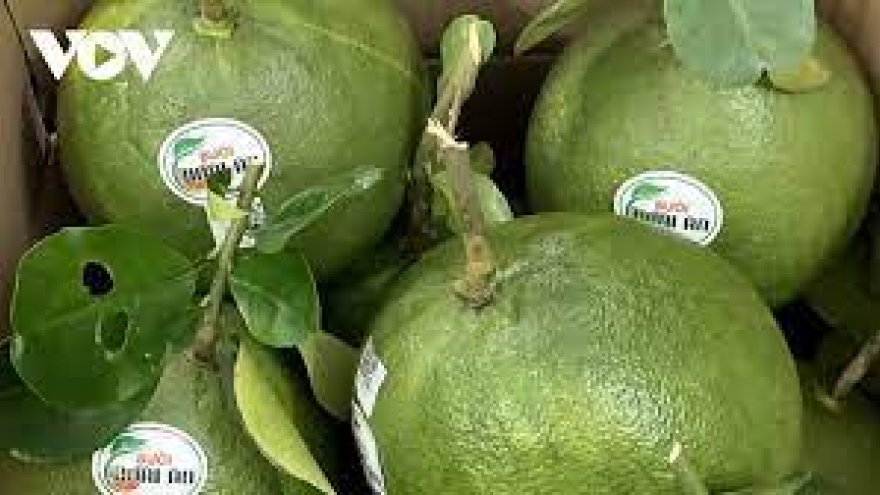 US to open market for Vietnamese pomelos