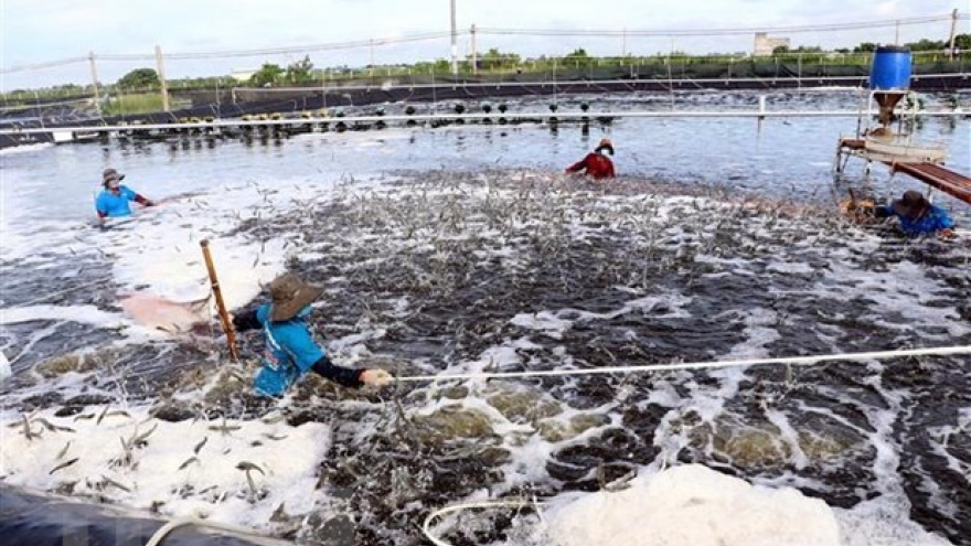 Aquaculture output grows 4.17% to 4.75 million tonnes