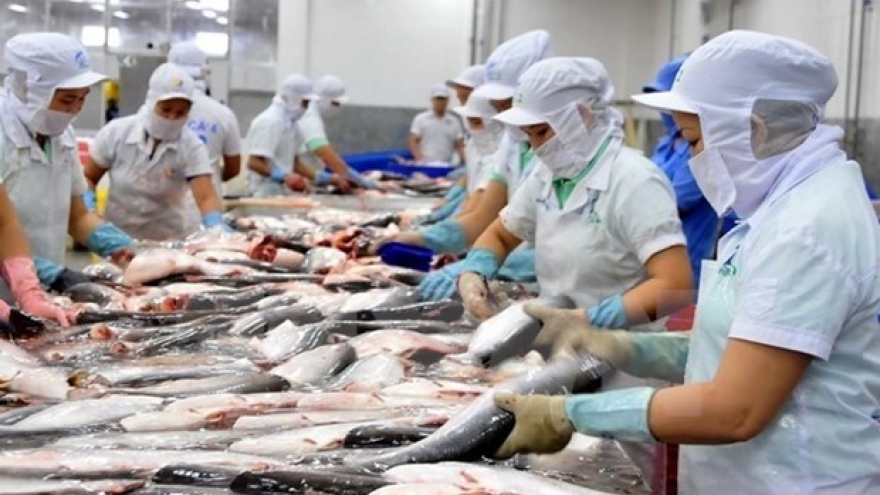 Pangasius fish export forecast to hit US$1.54 billion in 2021