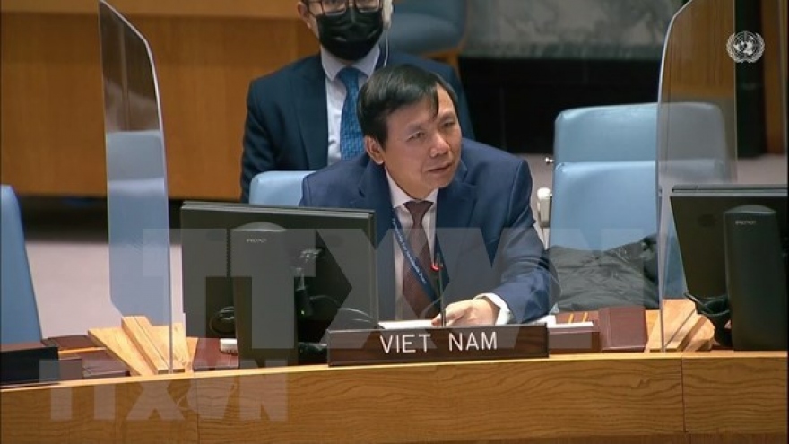 Vietnam emphasises international efforts for cyber conflict prevention: ambassador