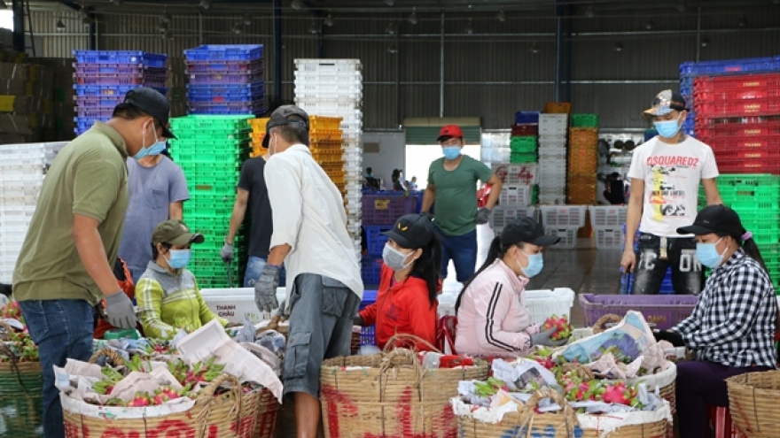 China remains largest consumer of Vietnamese farm produce