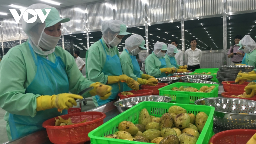 China increases imports of processed fruit and vegetables from Vietnam
