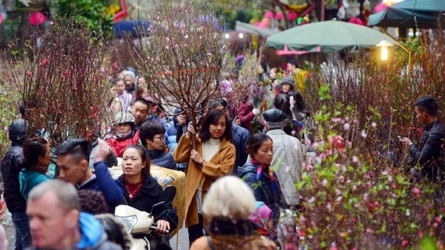 Hanoi gears up for 78 spring flower markets ahead of Tet